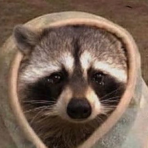 Meet your Posher, Emelia - Picture 1 of 1